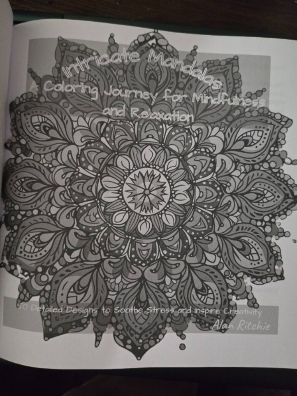Intricate Mandalas Adult Coloring Book Alan Ritchie New Relaxation Meditation - Picture 3 of 8